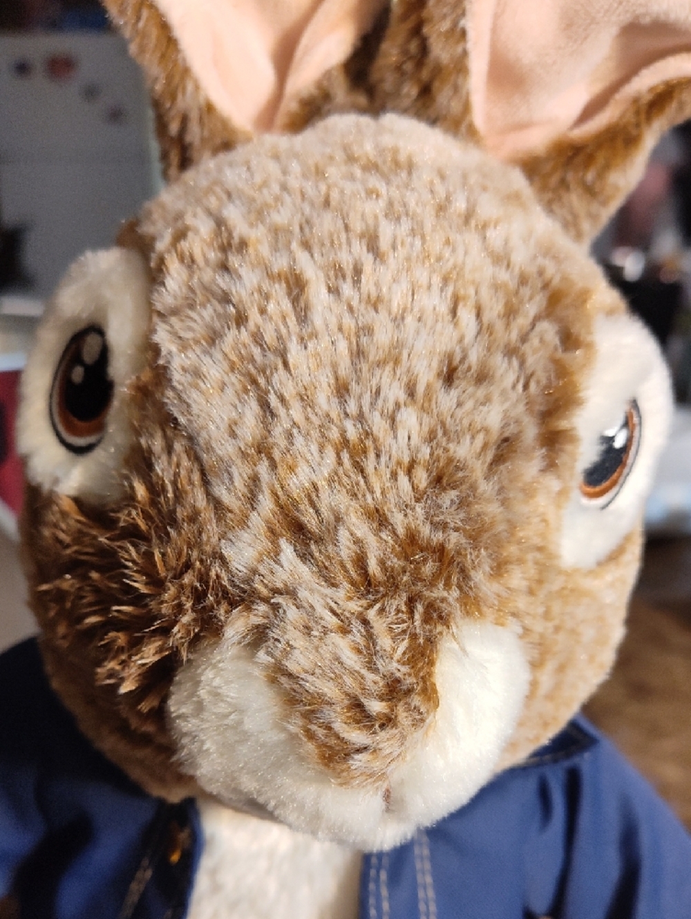 Peter Rabbit 2019 Plush - Picture 3 of 5